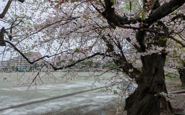 2026年度が始まります