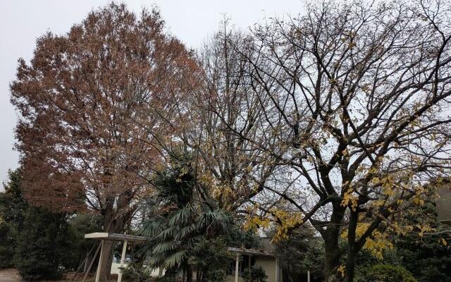 2学期ラストスパートに入りました