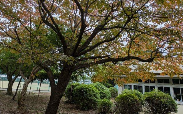 ２学期中間考査が近づきました