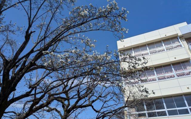 3学期 学年末考査